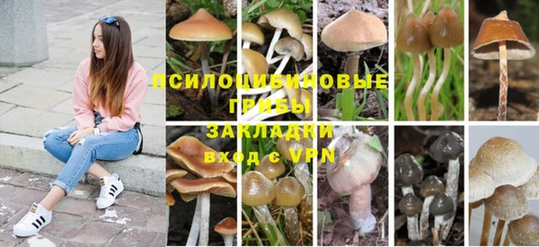 кокаин VHQ Заводоуковск