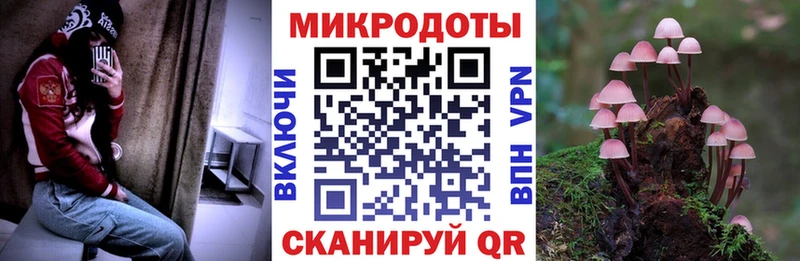 как найти наркотики  Протвино  Псилоцибиновые грибы Cubensis 