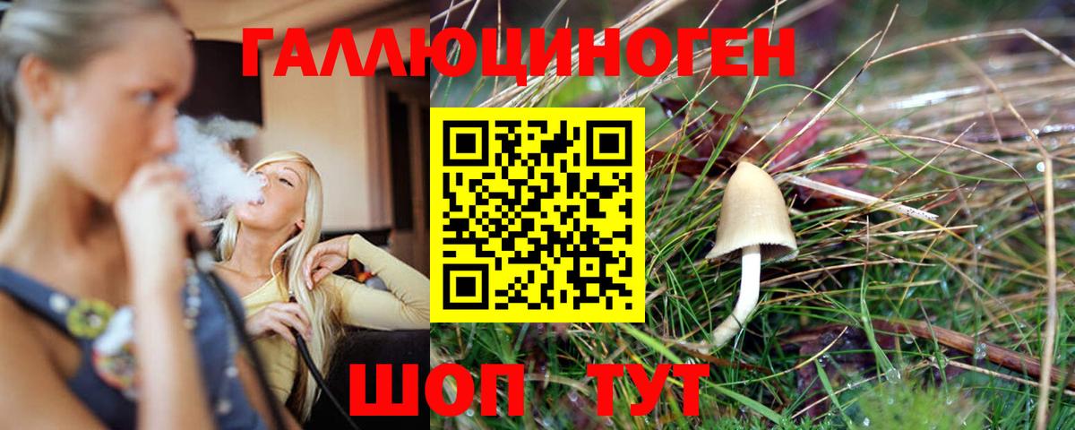 Галлюциногенные грибы Psilocybe  Псилоцибиновые грибы прущие грибы  Вход с VPN  Протвино 